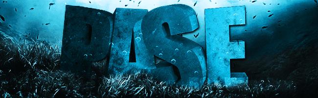 PaseDesigns - Image 1