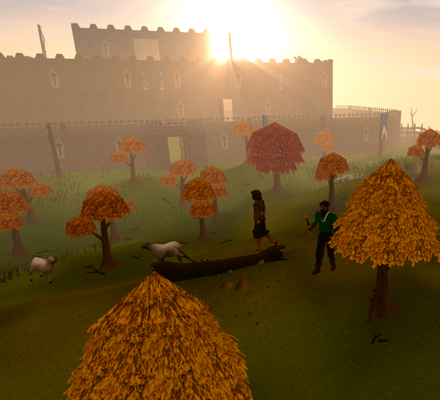 Server image 1